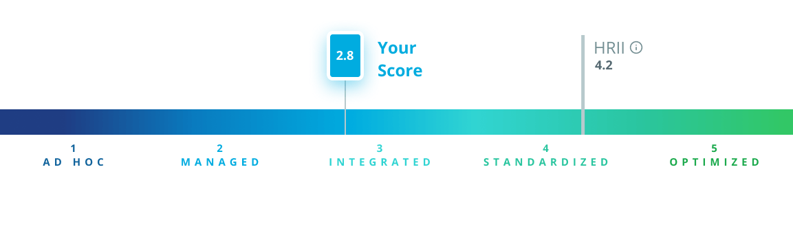 A sample score on the Hiring Maturity Model scale